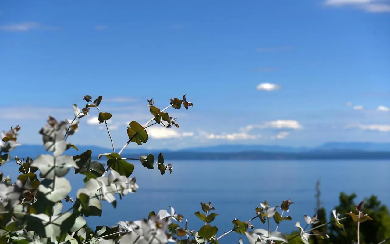 Apartments Near The Beach, With Terraces And Seaview At House B. Moscenicka Draga